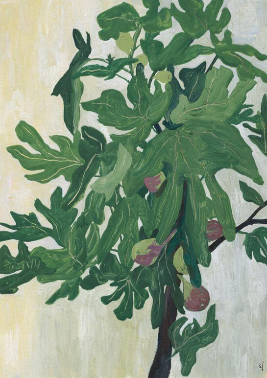 Photo Credits: rimdraw