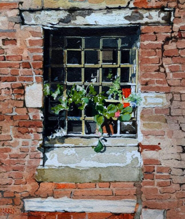 Photo Credits: David Morris